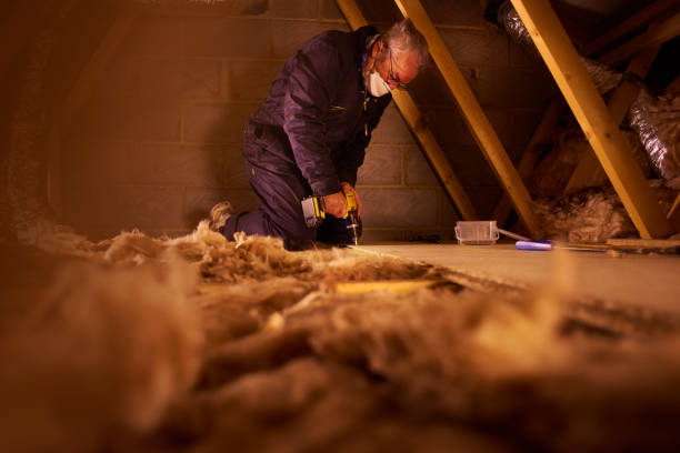 Best Insulation Installation Services in Maysville, OK